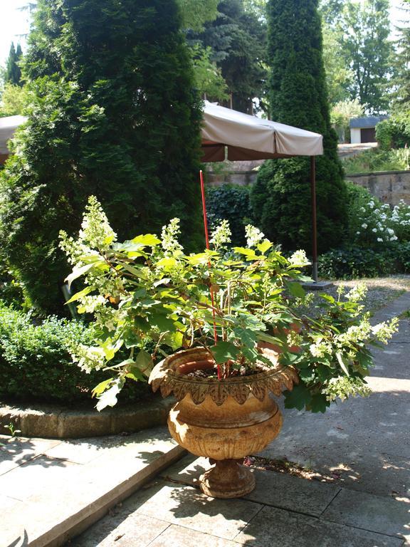 Pension Zur Koeniglichen Ausspanne Drážďany Exteriér fotografie